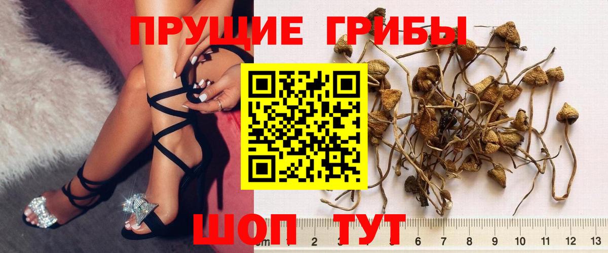 Псилоцибиновые грибы ЛСД  Вход с VPN  магазин  наркотиков  Балашиха 
