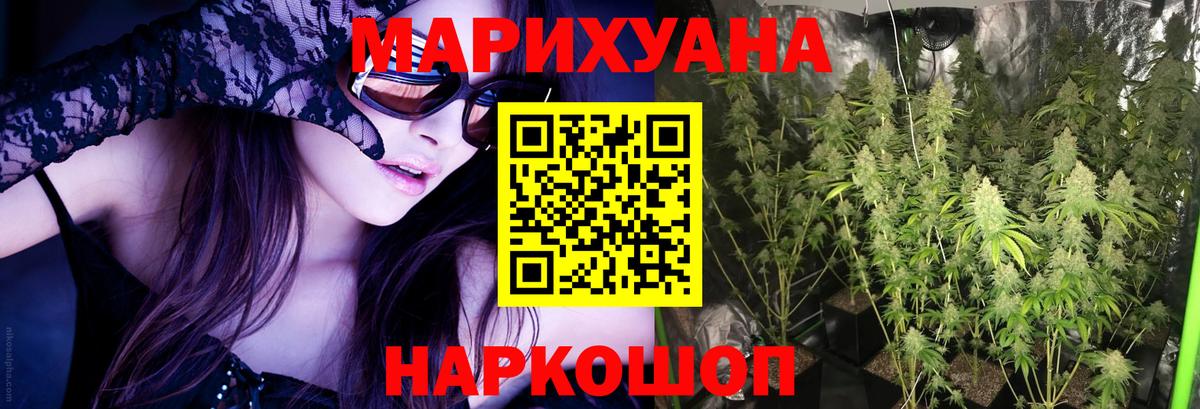 Бошки марихуана сатива Балашиха